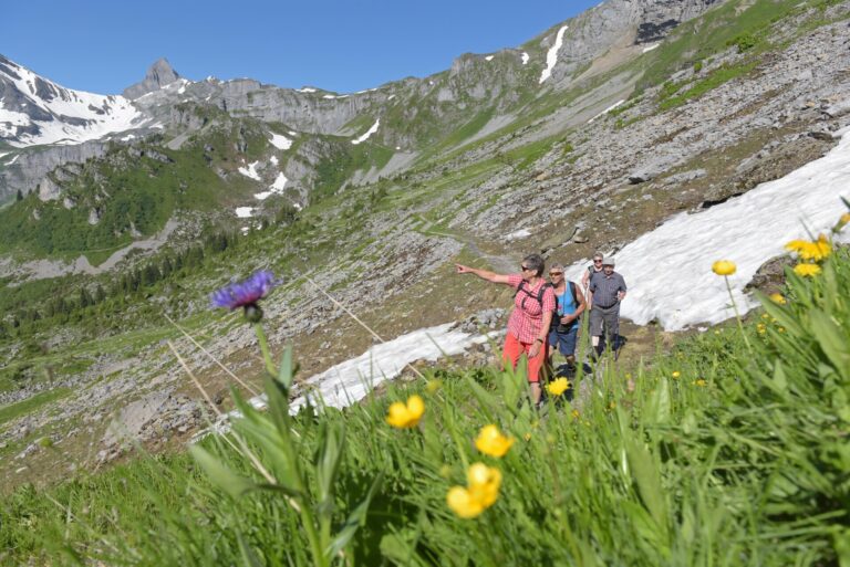 Wandern - Sommer Aktivitäten