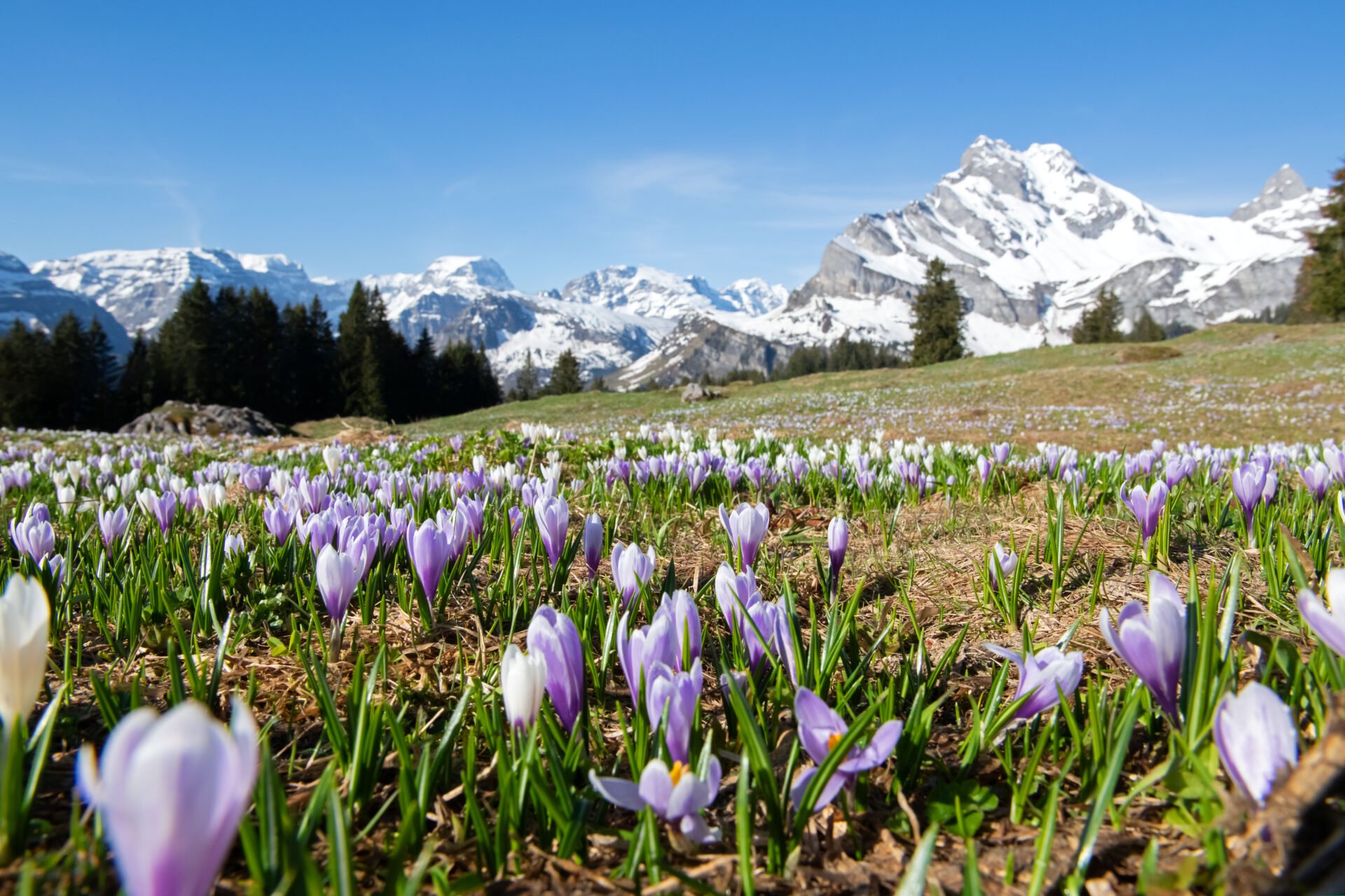 Auffahrt Wochenende Wandern Braunwald