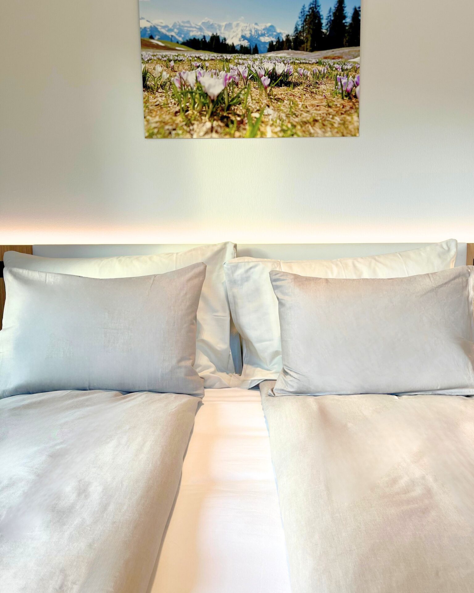 Panoramahotel Braunwald Einzel Zimmer