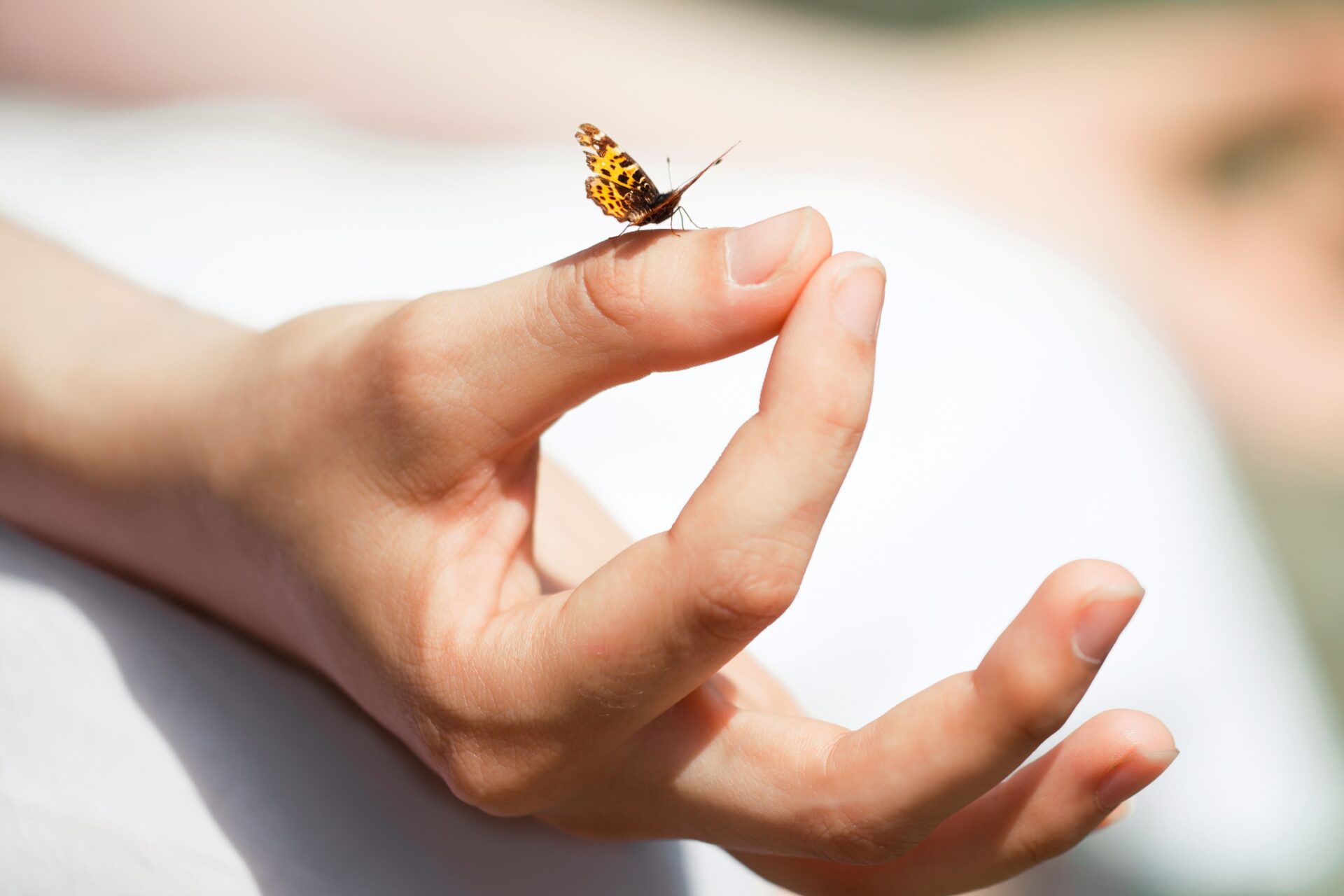 Meditation in the nature